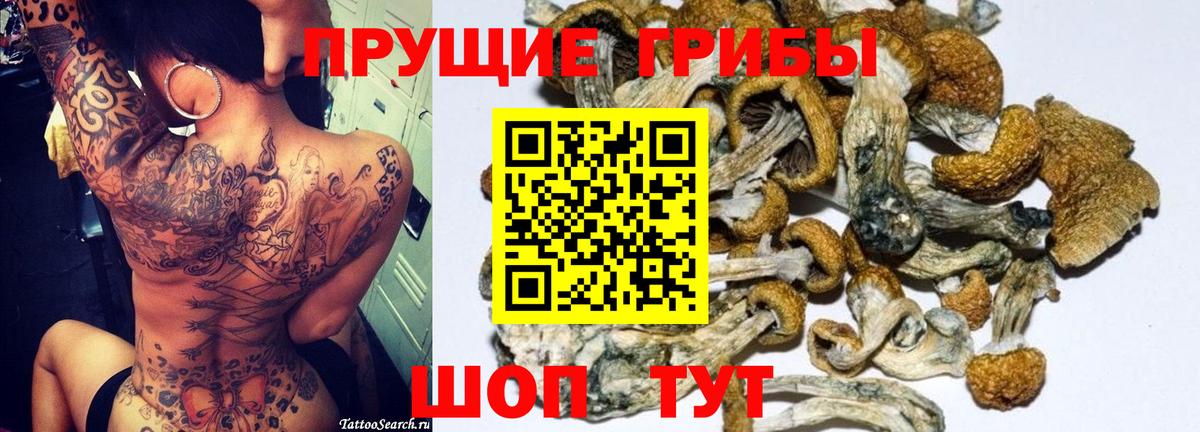 Прокопьевск  цены наркотик  Псилоцибиновые грибы Psilocybe  Вход с VPN  Псилоцибиновые грибы MAGIC MUSHROOMS 