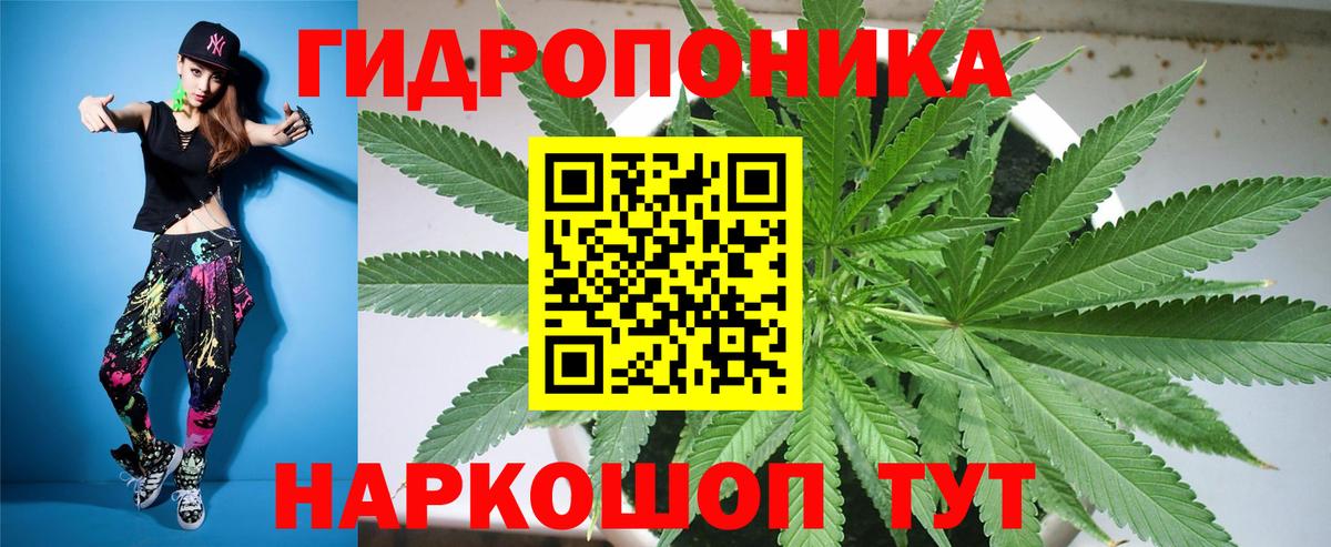 Бошки Шишки конопля Прокопьевск