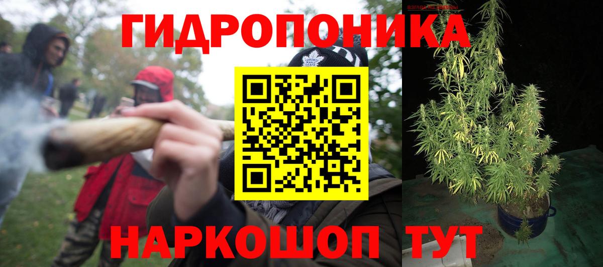 Прокопьевск  Каннабис Bruce Banner  Шишки марихуана ГИДРОПОН  Бошки марихуана OG Kush  Вход с VPN  Марихуана Ganja 